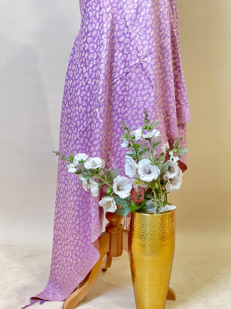 Pashmina Stoles 4780