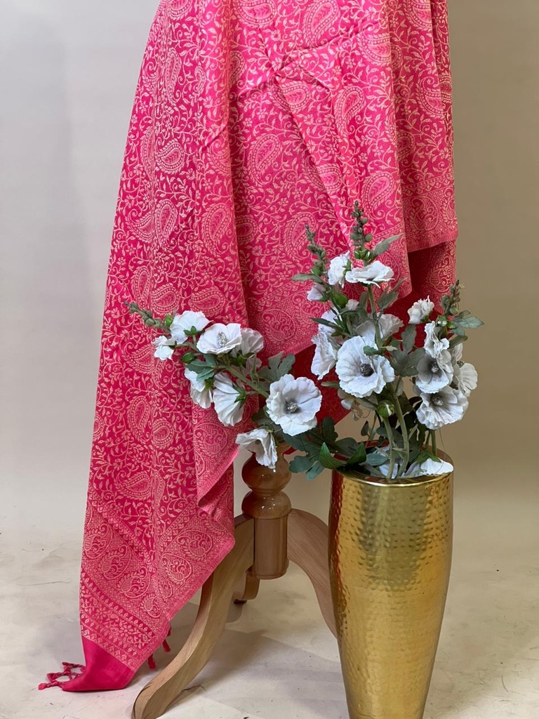 Pashmina Stoles 4780