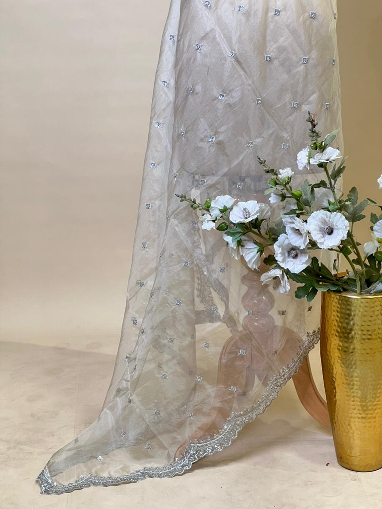 Organza Cutdana Dupatta 4780