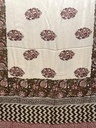  Kalamkari Modal Silk Saree 5034 
