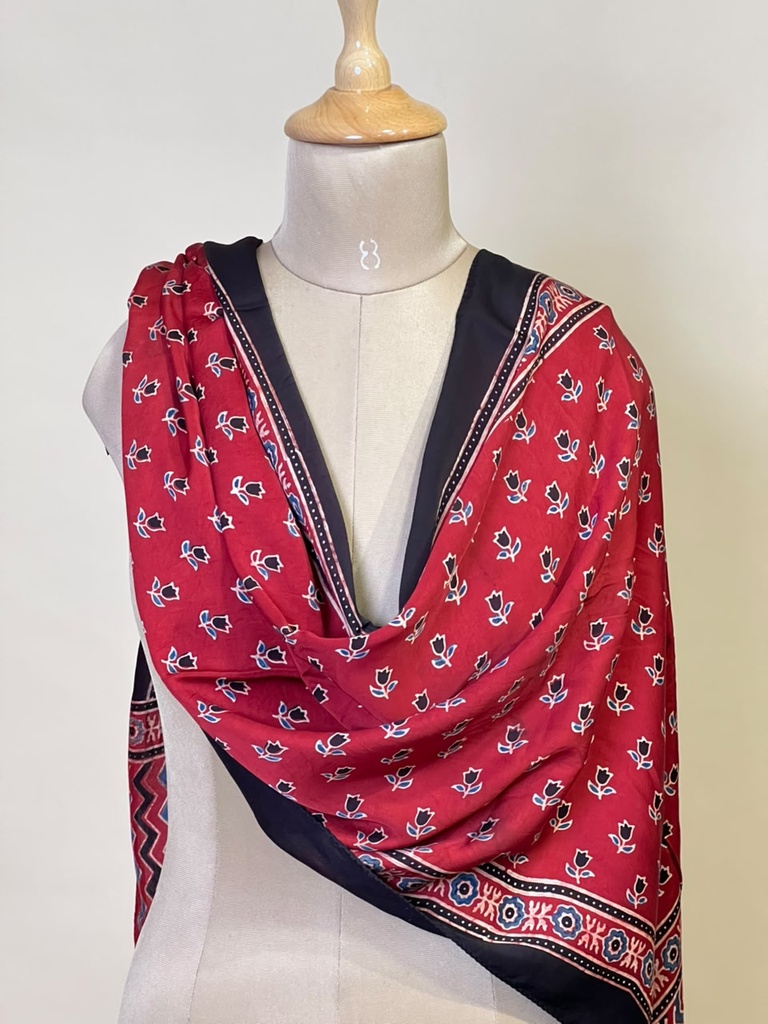 Ajrakh Modal Stoles 5071