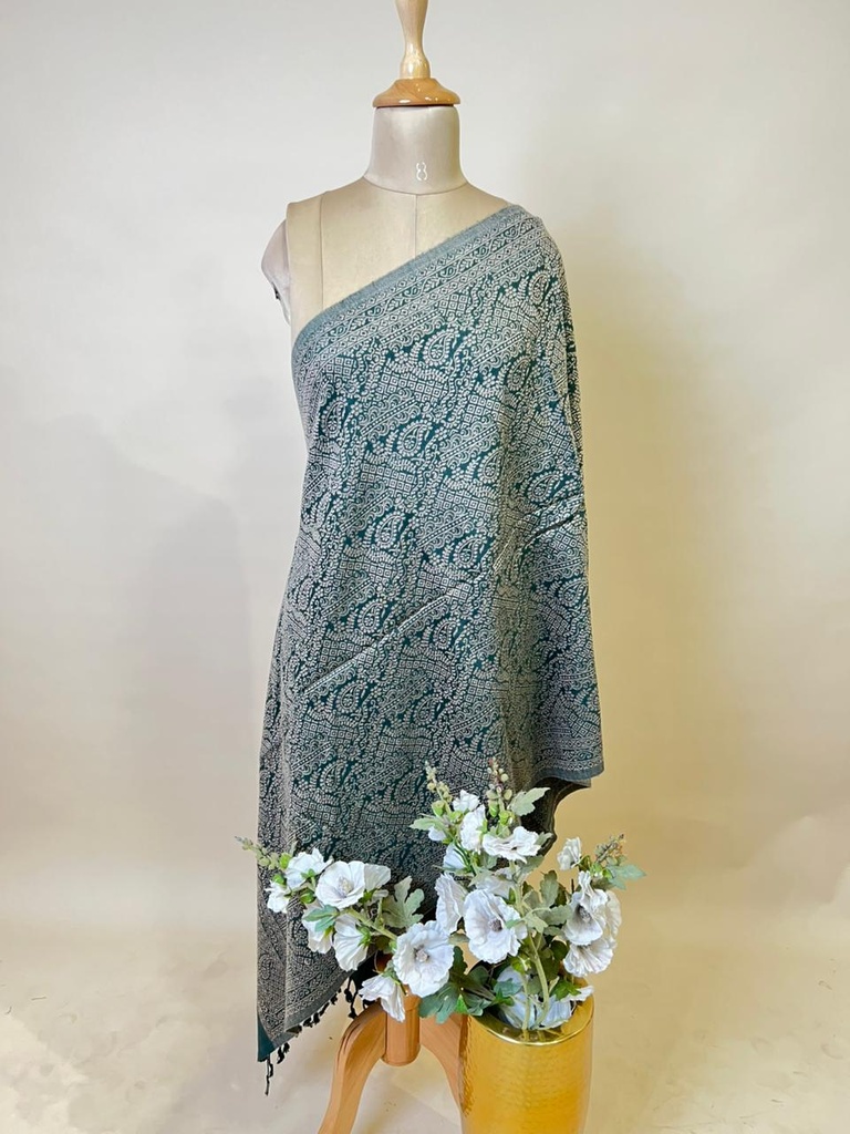 Pashmina Stoles 4780