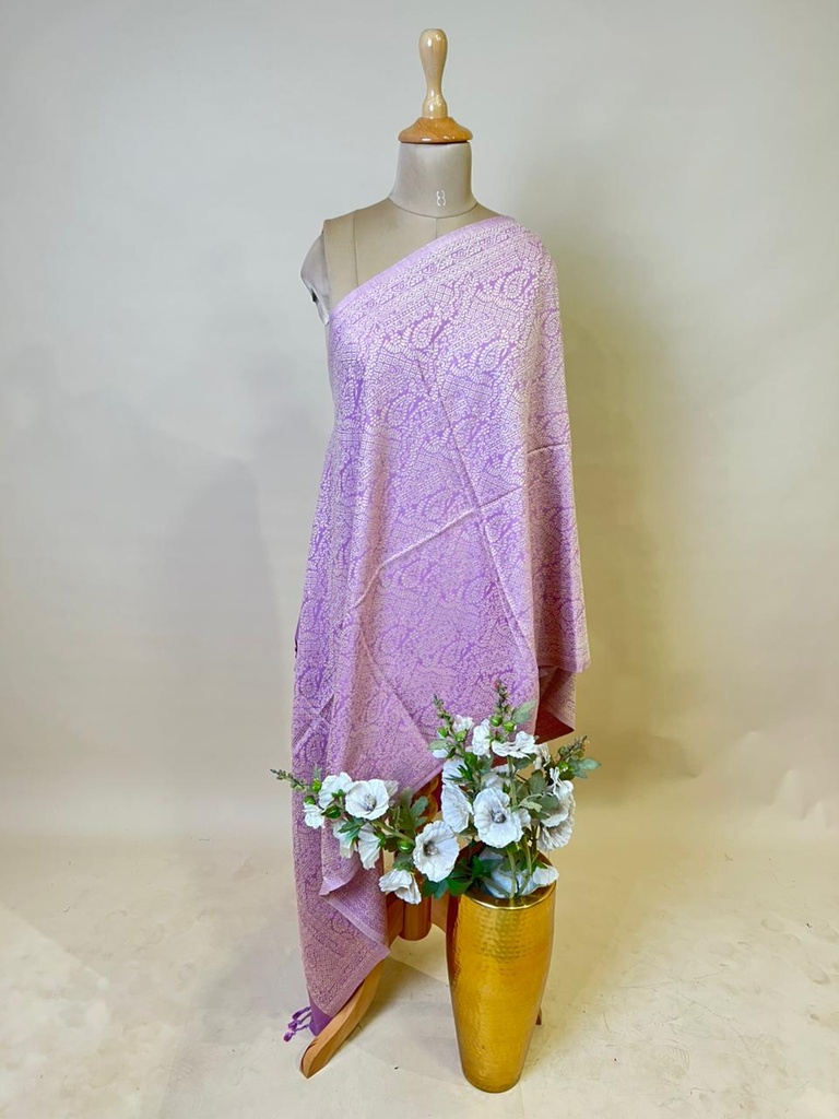 Pashmina Stoles 4780