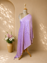 Pashmina Stoles 4780