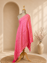 Pashmina Stoles 4780