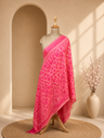 Pashmina Stoles 4780
