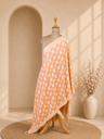 Pashmina Stoles 4780