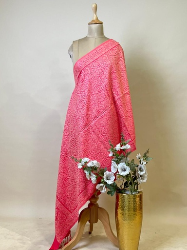 [DUAS1450] Pashmina Stoles 4780